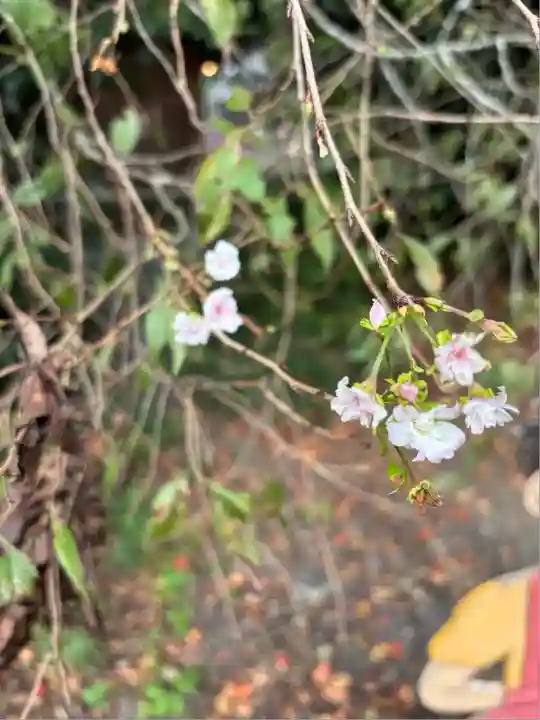 下野 星宮神社(栃木県)