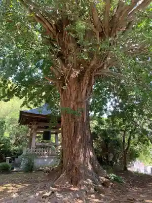 西音寺(千葉県)
