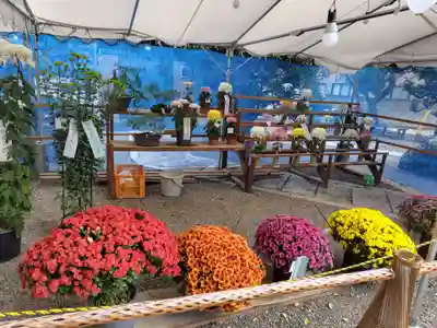 草加神社(埼玉県)