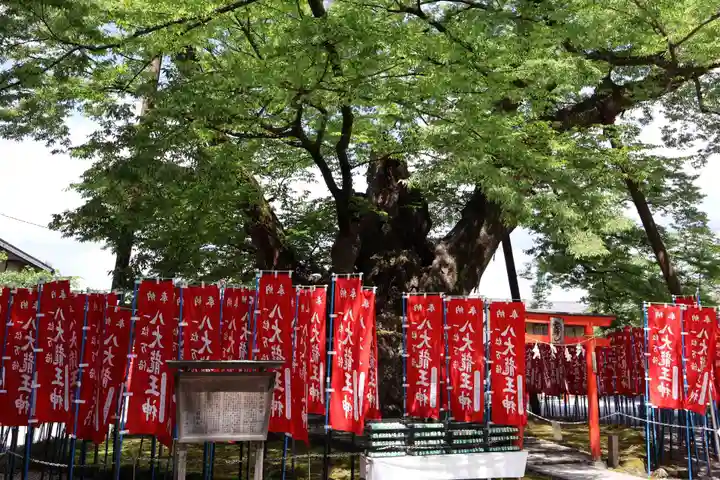 秩父今宮神社(埼玉県)