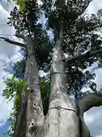 納八幡神社の自然