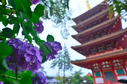 高幡不動尊　金剛寺(東京都)