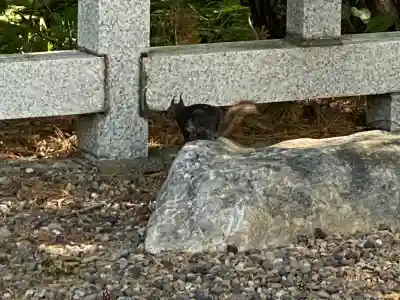 上川神社(北海道)