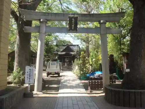 亀岡八幡宮（亀岡八幡神社）の鳥居