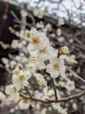 心行寺(東京都)