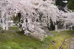 高司神社〜むすびの神の鎮まる社〜の自然