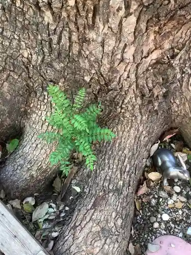 三輪神社の自然