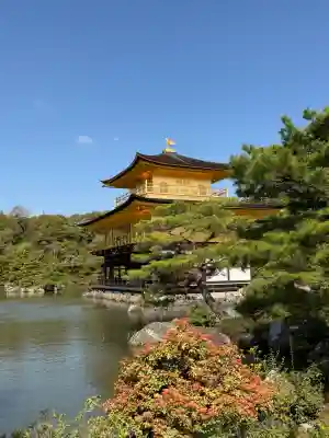 鹿苑寺（金閣寺）の{uncategorized: "未分類", other: "その他", undefined: "問題あり", building: "その他建物", grave: "お墓", sacred_gate: "鳥居", guardian: "狛犬", statue: "像", buddha: "仏像", history: "歴史", nature: "自然", garden: "庭園", animal: "動物", pagoda: "塔", temizu: "手水舎", mountain_gate: "山門・神門", sanctuary: "本殿・本堂", subordinate: "末社・摂社", art: "芸術", scenery: "景色", jizo: "地蔵", ema: "絵馬", goshuin: "御朱印", omikuji: "おみくじ", items: "授与品その他", amulet: "お守り", goshuincho: "御朱印帳", eats: "食事", festival: "お祭り", votive_dance: "神楽", shichigosan: "七五三参", wedding: "結婚式", experience: "体験その他", initially: "初詣", around: "周辺", anti_infection: "感染症対策"}