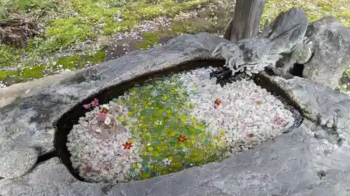 十勝護国神社の手水