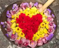 真言宗 善通寺派 薬王寺の庭園