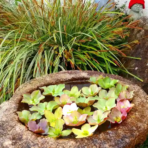 寿量山　速成寺(奈良県)