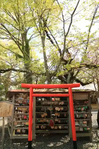 津島神社の絵馬