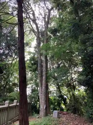 岩壷神社の自然