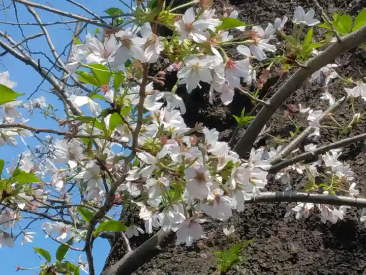 萬福寺(神奈川県)