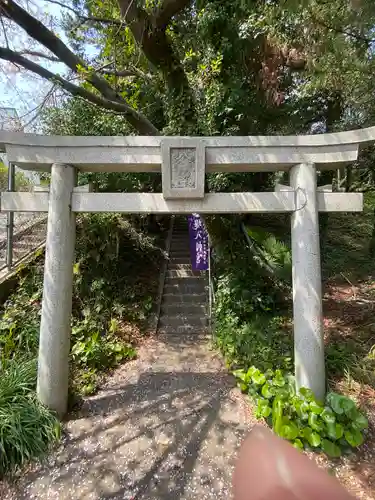 堤八幡宮の鳥居