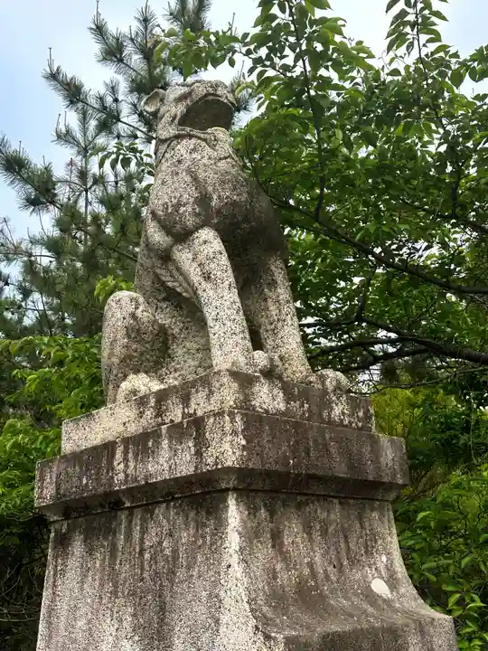 鳥取縣護國神社の狛犬