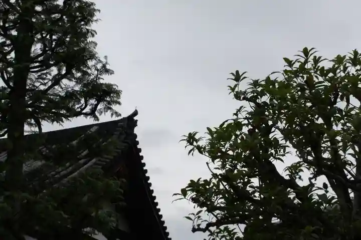 智積院(京都府)