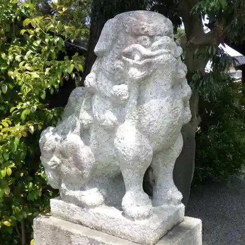 金比羅宮天満宮天神社の狛犬