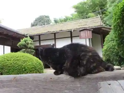 長岳寺(奈良県)