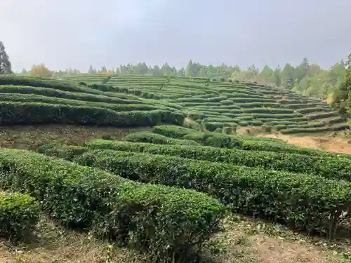 鶏足寺(滋賀県)