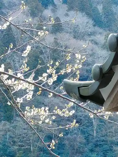 普光寺(愛知県)