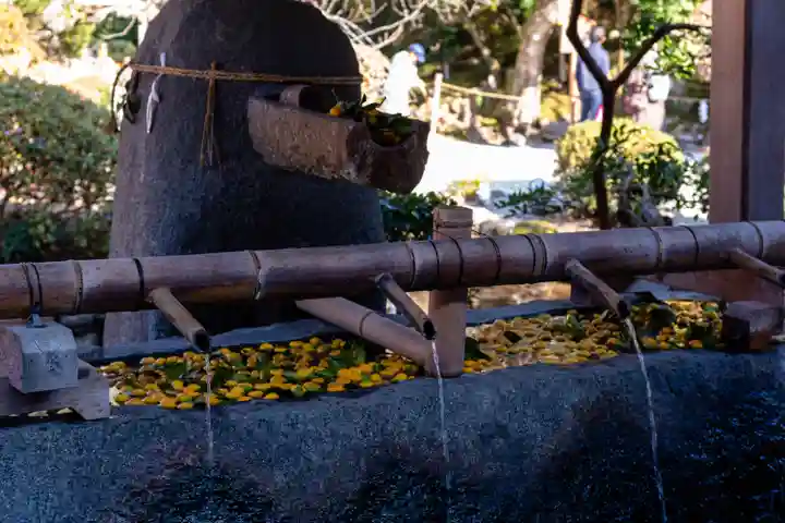 賀茂別雷神社(上賀茂神社)(京都府)