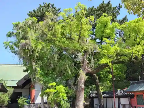 住吉大社(大阪府)