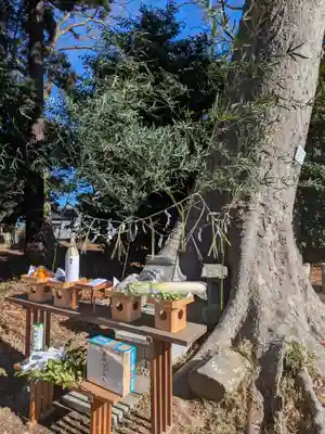 酒門神社(茨城県)