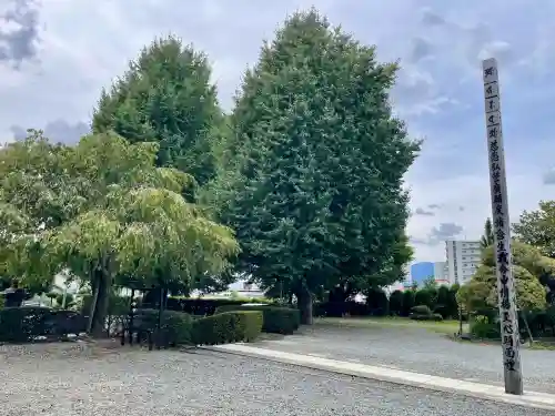 相模國分寺(神奈川県)