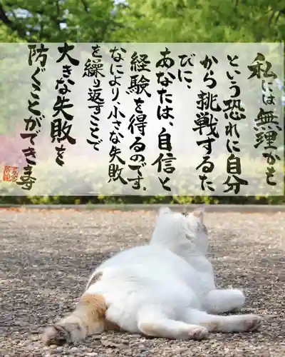 専念寺(大阪府)