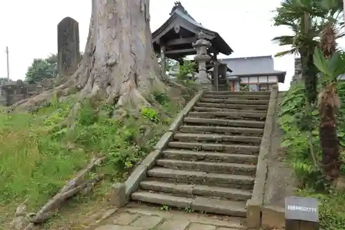 多田野本神社の景色