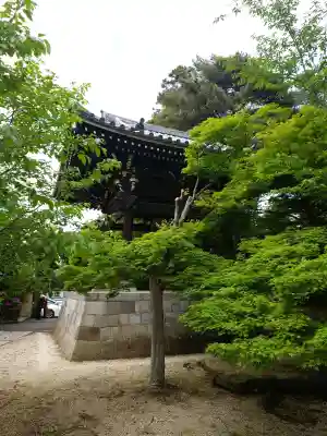 東漸寺の{uncategorized: "未分類", other: "その他", undefined: "問題あり", building: "その他建物", grave: "お墓", sacred_gate: "鳥居", guardian: "狛犬", statue: "像", buddha: "仏像", history: "歴史", nature: "自然", garden: "庭園", animal: "動物", pagoda: "塔", temizu: "手水舎", mountain_gate: "山門・神門", sanctuary: "本殿・本堂", subordinate: "末社・摂社", art: "芸術", scenery: "景色", jizo: "地蔵", ema: "絵馬", goshuin: "御朱印", omikuji: "おみくじ", items: "授与品その他", amulet: "お守り", goshuincho: "御朱印帳", eats: "食事", festival: "お祭り", votive_dance: "神楽", shichigosan: "七五三参", wedding: "結婚式", experience: "体験その他", initially: "初詣", around: "周辺", anti_infection: "感染症対策"}