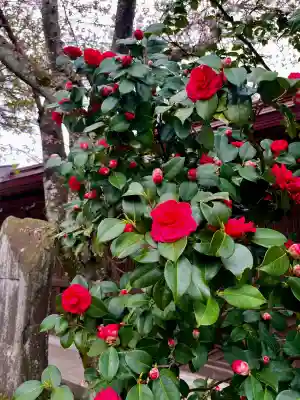 竹駒神社の{uncategorized: "未分類", other: "その他", undefined: "問題あり", building: "その他建物", grave: "お墓", sacred_gate: "鳥居", guardian: "狛犬", statue: "像", buddha: "仏像", history: "歴史", nature: "自然", garden: "庭園", animal: "動物", pagoda: "塔", temizu: "手水舎", mountain_gate: "山門・神門", sanctuary: "本殿・本堂", subordinate: "末社・摂社", art: "芸術", scenery: "景色", jizo: "地蔵", ema: "絵馬", goshuin: "御朱印", omikuji: "おみくじ", items: "授与品その他", amulet: "お守り", goshuincho: "御朱印帳", eats: "食事", festival: "お祭り", votive_dance: "神楽", shichigosan: "七五三参", wedding: "結婚式", experience: "体験その他", initially: "初詣", around: "周辺", anti_infection: "感染症対策"}