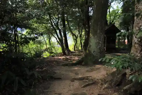 須佐神社の自然