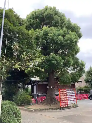 東京羽田 穴守稲荷神社のその他建物