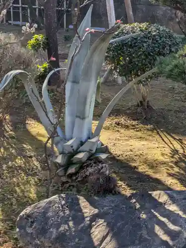 祥雲寺(東京都)