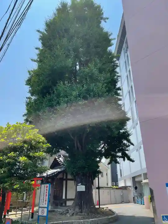 稼穡稲荷社の自然