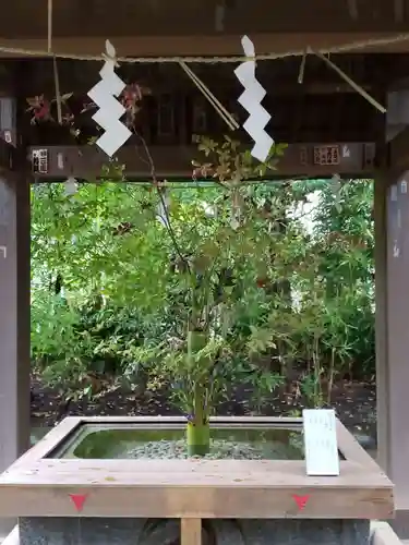 赤坂氷川神社の手水