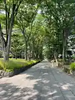 武蔵一宮氷川神社(埼玉県)