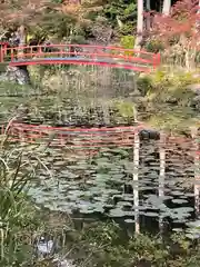 大原野神社の庭園