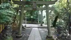 渋谷氷川神社の鳥居