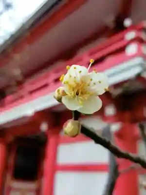成子天神社(東京都)