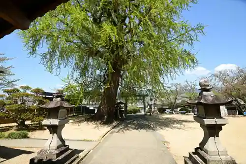丹生酒殿神社(和歌山県)