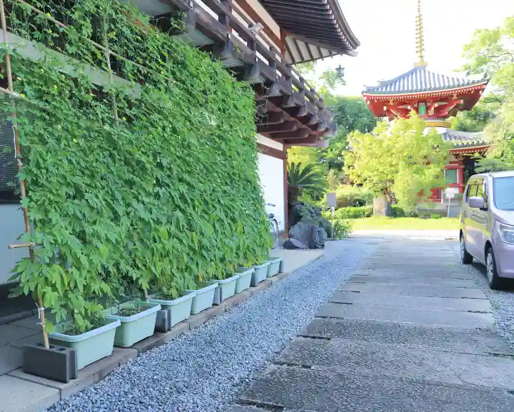 温泉山 安楽寺(四国霊場第六番札所)のその他建物