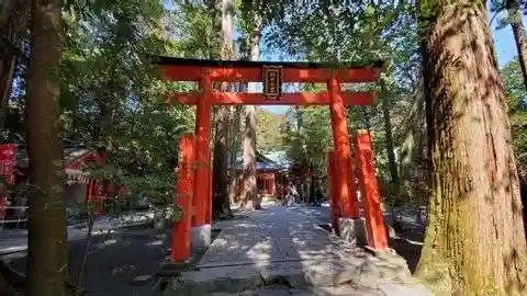 椿大神社の鳥居