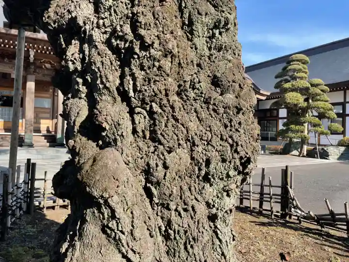 天応院(神奈川県)