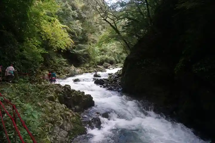 天岩戸神社の自然