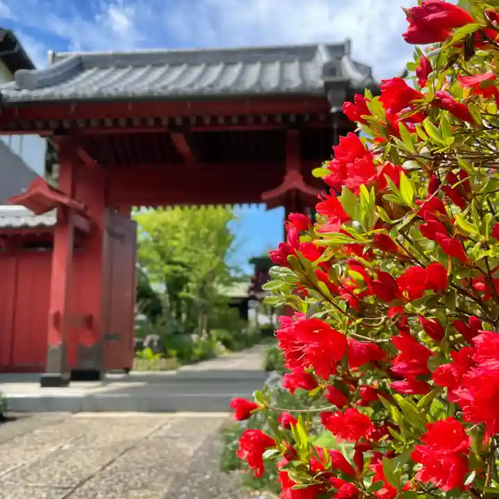 安世院の山門・神門
