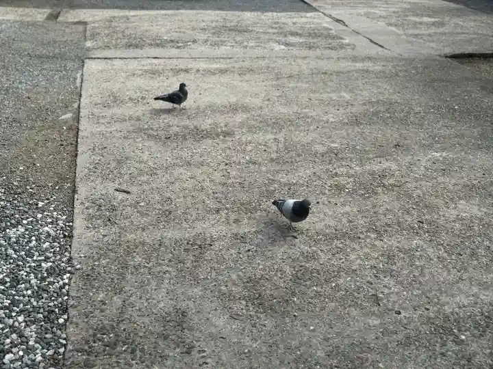 阿邪訶根神社(福島県)