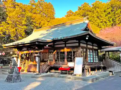 龍尾神社の本殿・本堂